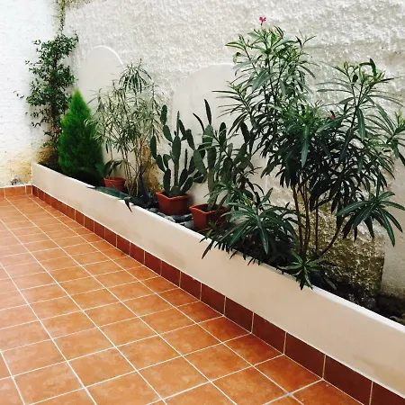 Pineta